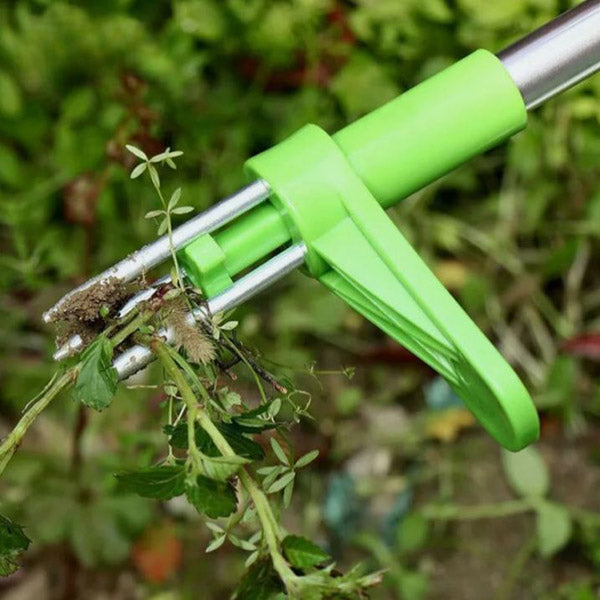 Un outil pour éliminer les mauvaises herbes | SPINOUT