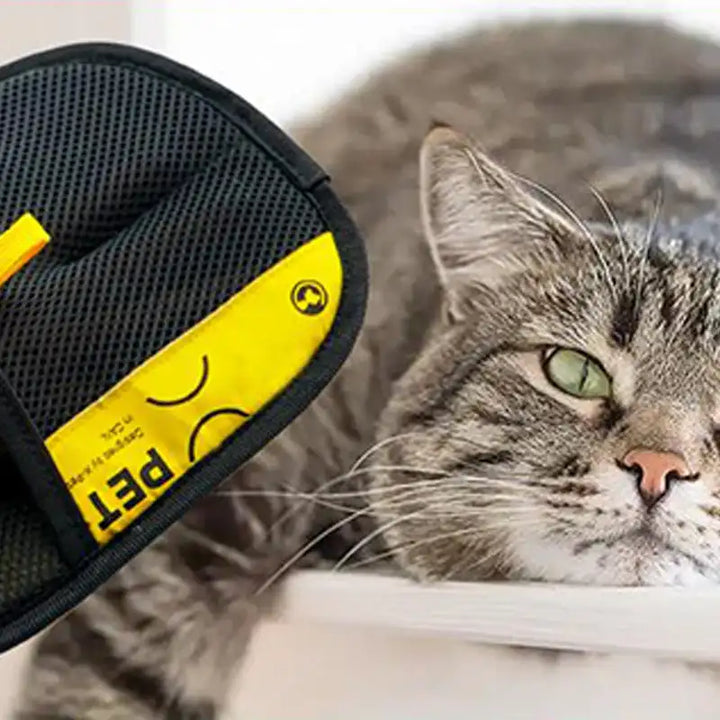 FURGLOVE | Handskar för att ta bort djurhår